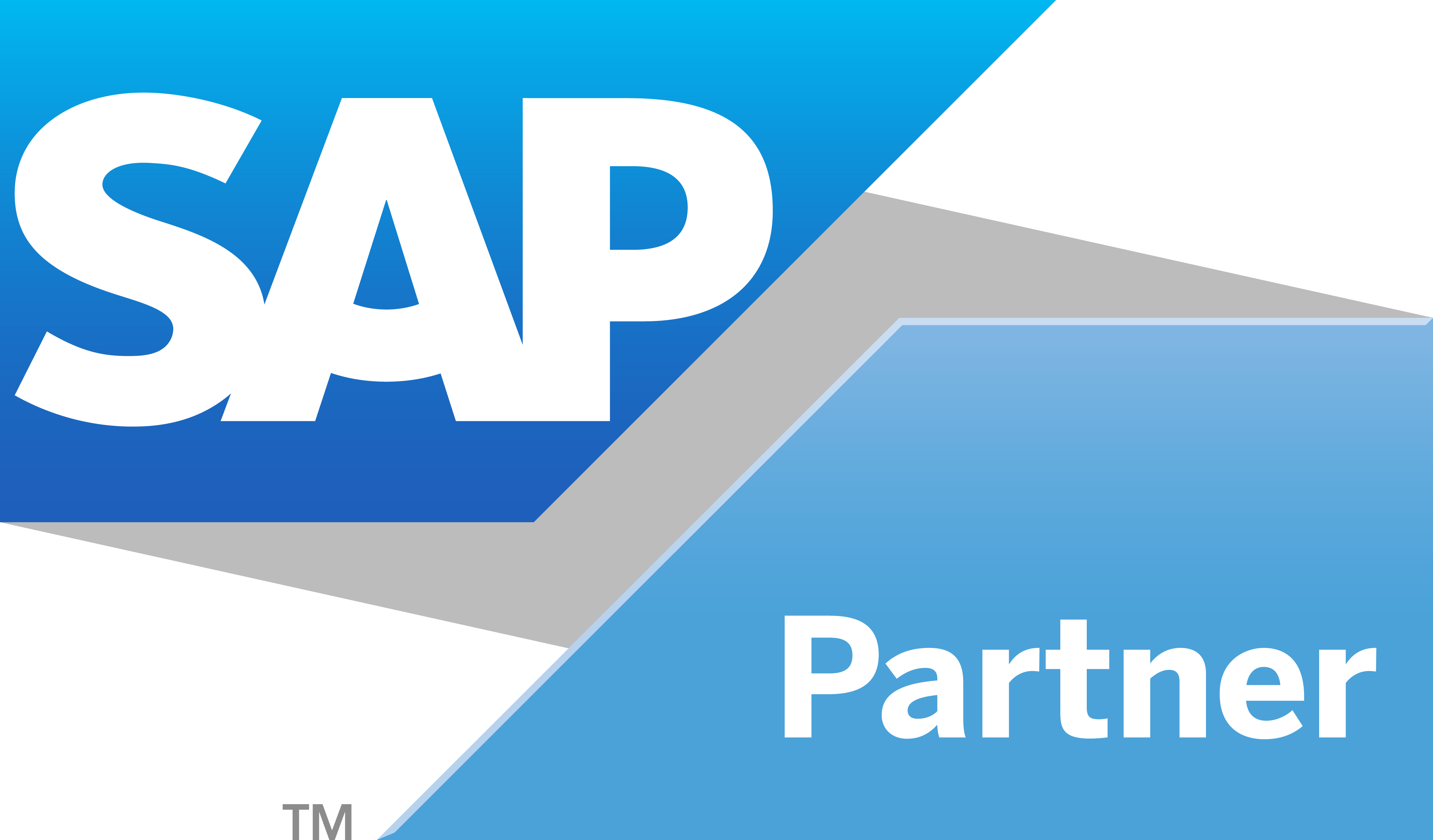 SAP Partner SAP Partner